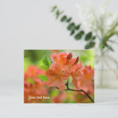 Ansichtkaart met oranje Rhododendron Briefkaart (Staand voorkant)