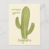 Ansichtkaart met Saguaro Cactus. Briefkaart (Voorkant)