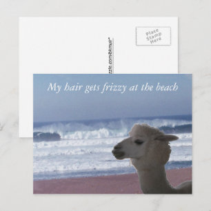 Ansichtkaart - Mijn haar wordt pluizig ... Briefkaart