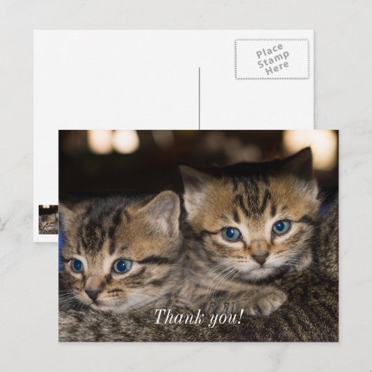 Ansichtkaart 'Op Moeders Rug Bedankt' Briefkaart (Voorkant / Achterkant)