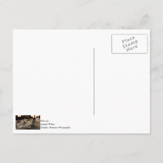 Ansichtkaart 'Op Moeders Rug Bedankt' Briefkaart (Achterkant)