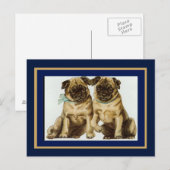 Ansichtkaart Oude Pugs Briefkaart (Voorkant / Achterkant)