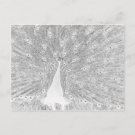 Ansichtkaart - Pauw om in te kleuren Briefkaart