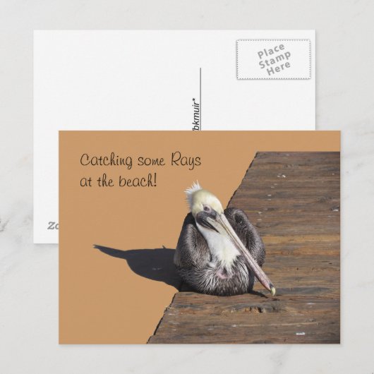 Ansichtkaart - Pelikaan op Steiger Briefkaart (Voorkant / Achterkant)