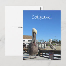 Ansichtkaart - Pelikanen op Steiger Briefkaart