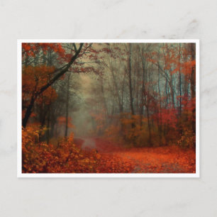 Ansichtkaart - Romantische nevelige herfstdag Briefkaart