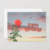 Ansichtkaart - Roos bij zonsondergang Briefkaart (Voorkant / Achterkant)
