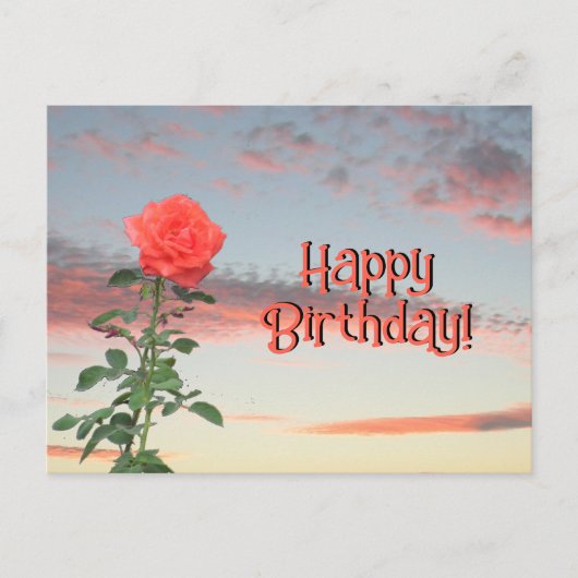 Ansichtkaart - Roos bij zonsondergang Briefkaart (Voorkant)