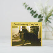 Ansichtkaart - Sociale afstand Cats Briefkaart (Staand voorkant)