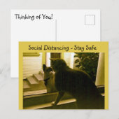 Ansichtkaart - Sociale afstand Cats Briefkaart (Voorkant / Achterkant)