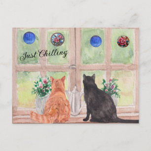 ANSICHTKAART Twee katten bij het raam Serene bloem Briefkaart
