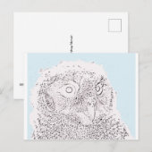 Ansichtkaart - Uiltje kleuren Briefkaart (Voorkant / Achterkant)
