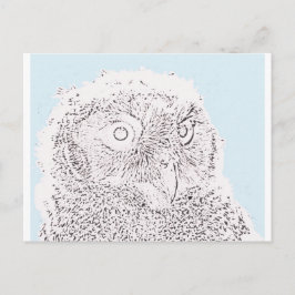 Ansichtkaart - Uiltje kleuren Briefkaart