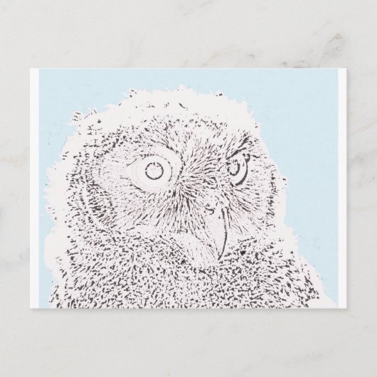 Ansichtkaart - Uiltje kleuren Briefkaart (Voorkant)