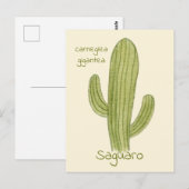Ansichtkaart van Saguaro Cactus. Briefkaart (Voorkant / Achterkant)