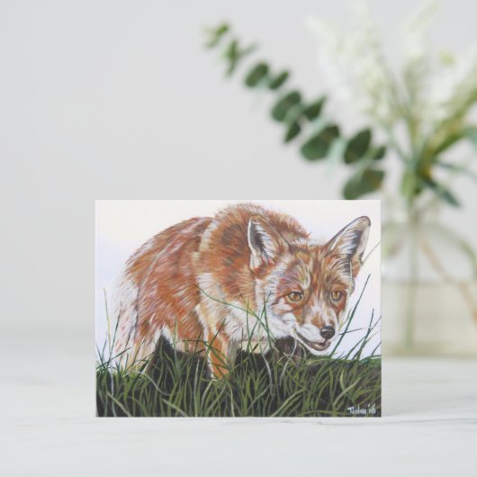 Ansichtkaart Vos. Briefkaart (Staand voorkant)