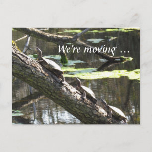 Ansichtkaart - We verhuizen ... Schildpadden Aankondigingskaart