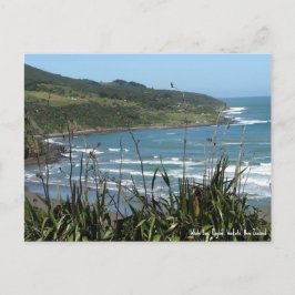 Ansichtkaart, Whale Bay, Raglan, Nieuw-Zeeland Briefkaart
