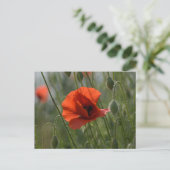 Ansichtkaart - Wilde rode klaproos Briefkaart (Staand voorkant)