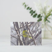 Ansichtkaart - Wintervogel Briefkaart (Staand voorkant)