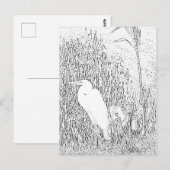 Ansichtkaart - Zilverreiger in Gras om in te Kleur Briefkaart (Voorkant / Achterkant)