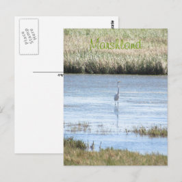 Ansichtkaart - Zilverreiger staat trots Briefkaart