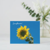 Ansichtkaart - Zonnebloem! Briefkaart (Staand voorkant)