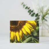 Ansichtkaart - Zonnebloem Geheim Briefkaart (Staand voorkant)