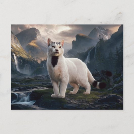 Ansichtkaarten  Kat  Serie 11 08 Briefkaart (Voorkant)