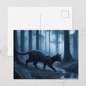 Ansichtkaarten Kat Serie 11 10 Briefkaart (Voorkant / Achterkant)