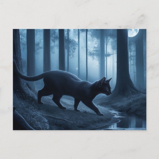 Ansichtkaarten Kat Serie 11 10 Briefkaart (Voorkant)