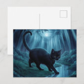 Ansichtkaarten  Kat  Serie 11 11 Briefkaart (Voorkant / Achterkant)