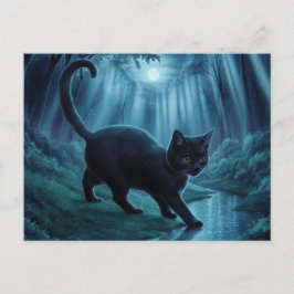 Ansichtkaarten  Kat  Serie 11 11 Briefkaart