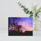 ANSICHTKAARTEN - ZONSONDERGANG BIJ RIVERTON BRIEFKAART (Staand voorkant)
