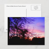 ANSICHTKAARTEN - ZONSONDERGANG BIJ RIVERTON BRIEFKAART (Voorkant / Achterkant)
