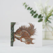 Ansichtochtoen Eekhoorn. Briefkaart (Staand voorkant)