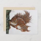 Ansichtochtoen Eekhoorn. Briefkaart (Voorkant / Achterkant)