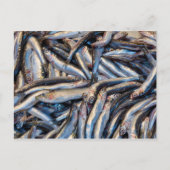 ansjovis briefkaart (Voorkant)