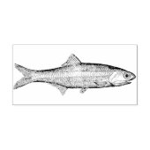  ansjovis Rubber Kunststempel Rubberstempel (Afrduk)