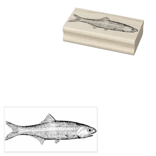  ansjovis Rubber Kunststempel Rubberstempel (Gestempeld)