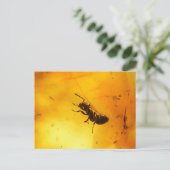 Ant binnenamber briefkaart (Staand voorkant)