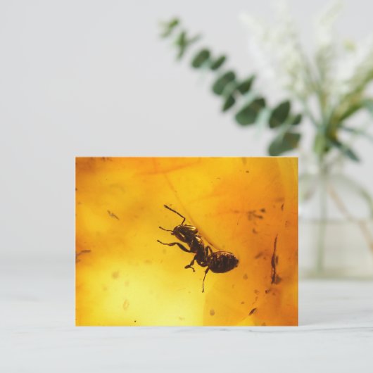 Ant binnenamber briefkaart (Staand voorkant)