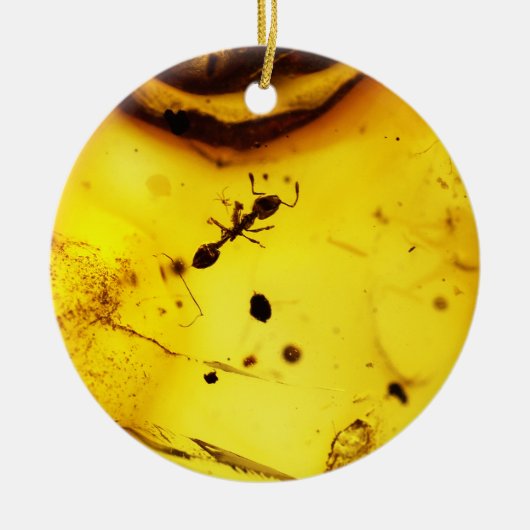 Ant binnenamber keramisch ornament (Voorkant)