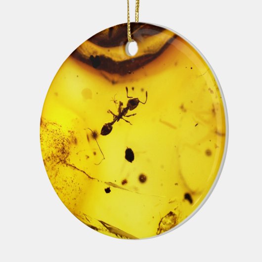 Ant binnenamber keramisch ornament (Links)