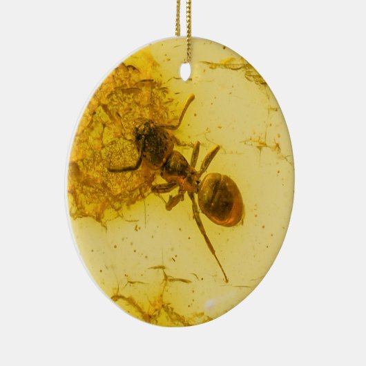 Ant binnenamber keramisch ornament (Rechts)