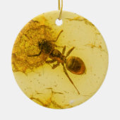 Ant binnenamber keramisch ornament (Voorkant)