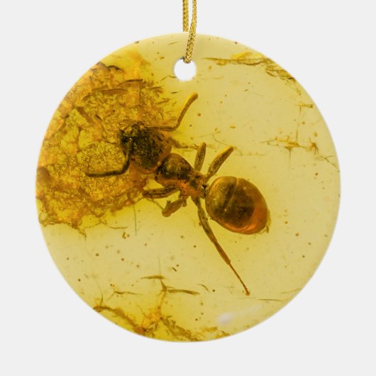 Ant binnenamber keramisch ornament (Voorkant)