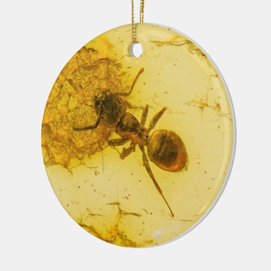 Ant binnenamber keramisch ornament (Links)