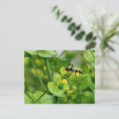 Ant Briefkaart (Staand voorkant)