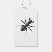 Ant Cadeaulabel (Voorkant)